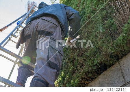 Japanese Gardener Japanese Gardener 133422154