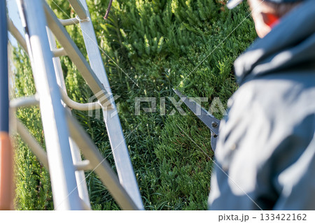 Japanese Gardener 133422162