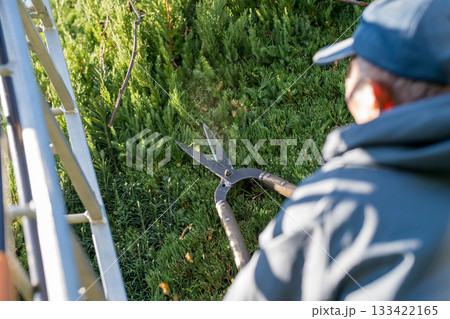 Japanese Gardener Japanese Gardener 133422165