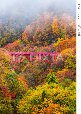 松川渓谷（秋）　高山村 133422394