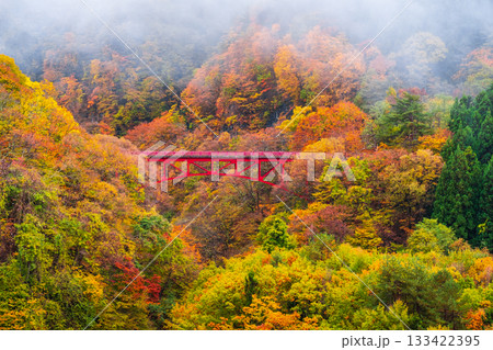 松川渓谷（秋）　高山村 133422395