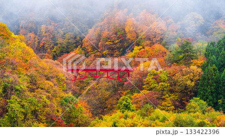 松川渓谷（秋）　高山村 133422396