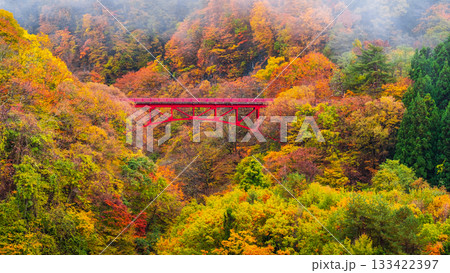 松川渓谷（秋）　高山村 133422397