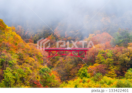 松川渓谷（秋）　高山村 133422401