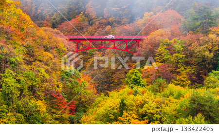 松川渓谷（秋）　高山村 133422405