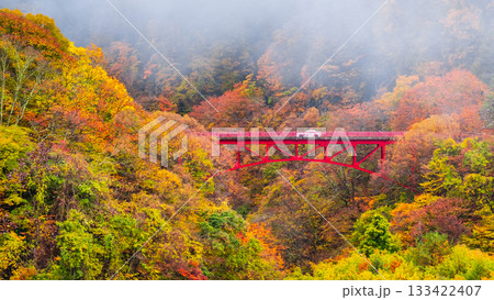 松川渓谷(秋) 高山村 松川渓谷(秋) 高山村 133422407