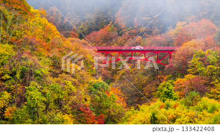 松川渓谷(秋) 高山村 松川渓谷(秋) 高山村 133422408