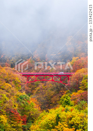 松川渓谷(秋) 高山村 松川渓谷(秋) 高山村 133422415