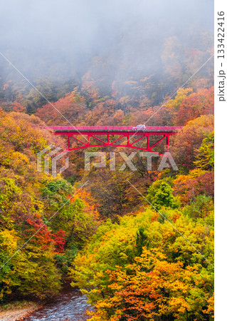 松川渓谷(秋) 高山村 松川渓谷(秋) 高山村 133422416