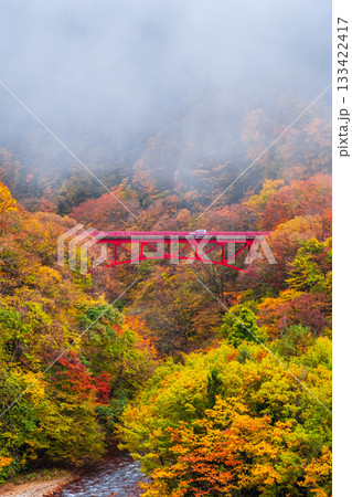 松川渓谷(秋) 高山村 松川渓谷(秋) 高山村 133422417