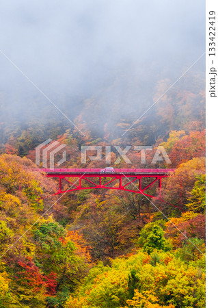 松川渓谷(秋) 高山村 松川渓谷(秋) 高山村 133422419