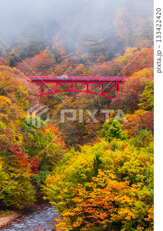 松川渓谷（秋）　高山村 133422420