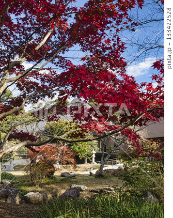 長楽寺の紅葉 長楽寺の紅葉 133422528