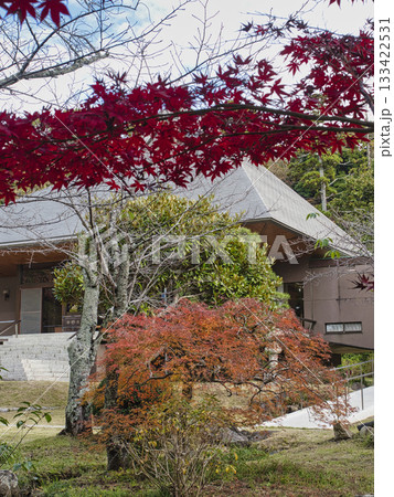 長楽寺の紅葉 133422531