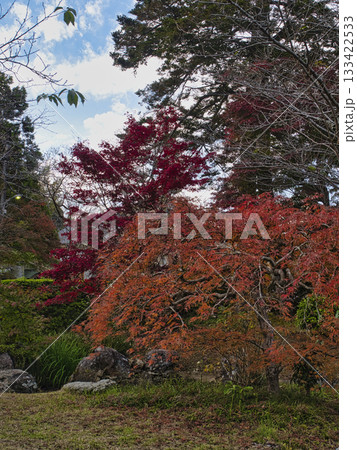 長楽寺の紅葉 133422533