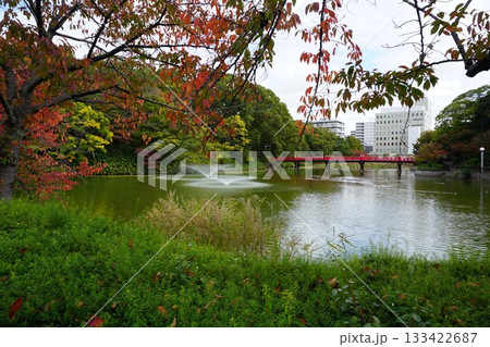 天王寺公園の茶臼山 天王寺公園の茶臼山 133422687
