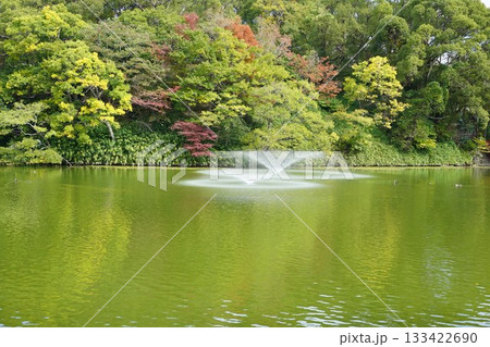 天王寺公園の茶臼山 133422690