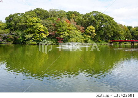 天王寺公園の茶臼山 133422691