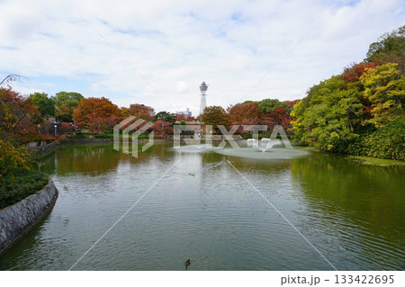 天王寺公園の茶臼山 天王寺公園の茶臼山 133422695