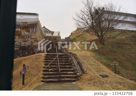 富岡城 富岡城 133422708