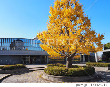 市原市立中央図書館 133423215