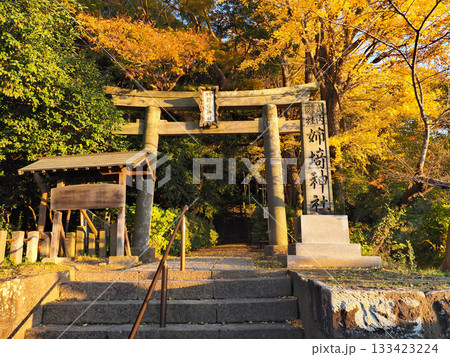 姉埼神社(市原市) 133423224