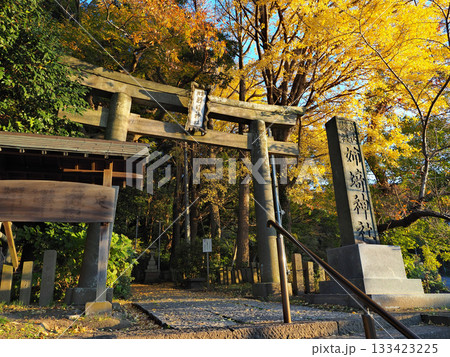 姉埼神社(市原市) 姉埼神社(市原市) 133423225