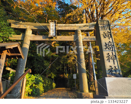 姉埼神社(市原市) 133423227