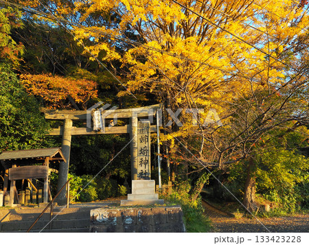 姉埼神社(市原市) 姉埼神社(市原市) 133423228