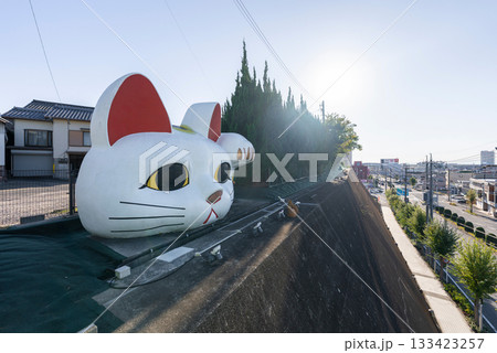 常滑の見守り猫　とこにゃん 133423257