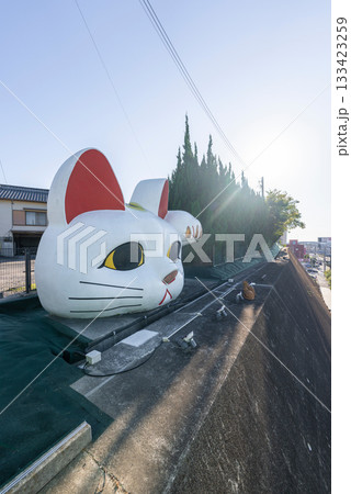 【縦写真】常滑の見守り猫 とこにゃん 【縦写真】常滑の見守り猫 とこにゃん 133423259