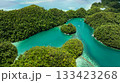 Aerial view of lagoon with small forest islands and boats floating on calm water. Siargao, Philippines. Sugba Blue Lagoon. 133423268