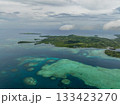 Expansive turquoise reef waters with coral patches stretching toward green coastal hills under cloudy skies. 133423270