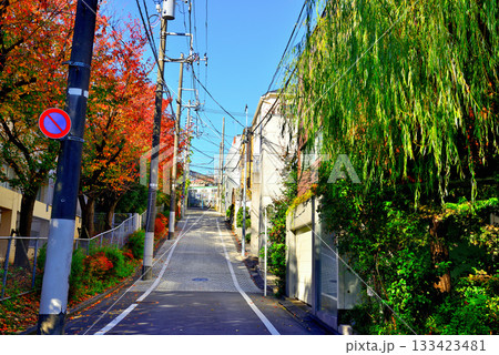 代々木上原駅周辺 紅葉したさくら並木の高級住宅街 代々木上原駅周辺 紅葉したさくら並木の高級住宅街 133423481