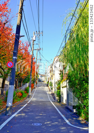 代々木上原駅周辺 紅葉したさくら並木の高級住宅街 133423482