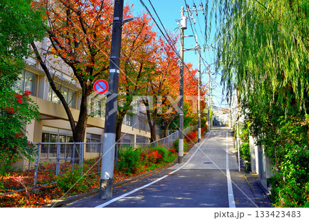 代々木上原駅周辺 紅葉したさくら並木の高級住宅街 133423483