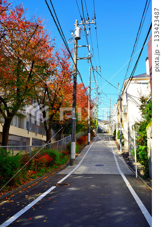 代々木上原駅周辺 紅葉したさくら並木の高級住宅街 代々木上原駅周辺 紅葉したさくら並木の高級住宅街 133423487