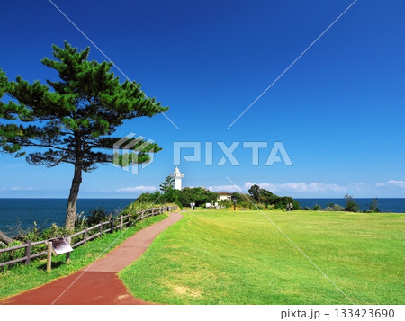 伊勢志摩　秋空の安乗岬園地の松と灯台 133423690