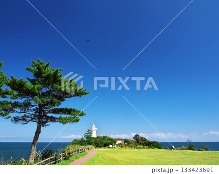 伊勢志摩　秋空の安乗岬園地の松と灯台 133423691