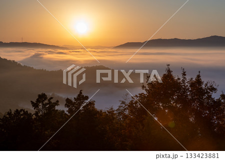 雲海 雲海 133423881