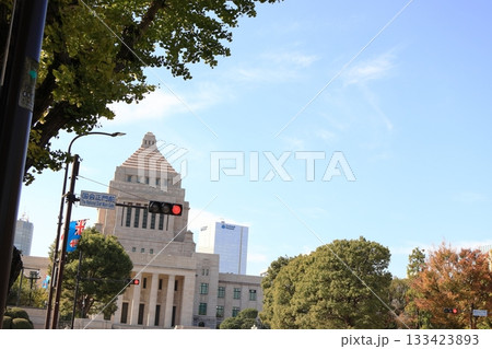 国会議事堂と青空 133423893