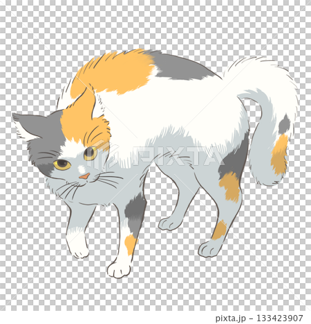 やんのかステップをする三毛猫のイラスト 133423907