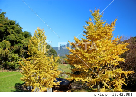 北九州の長野緑地 もりのいえから見た風景 (第2緑地保育センター) 北九州の長野緑地 もりのいえから見た風景 (第2緑地保育センター) 133423991