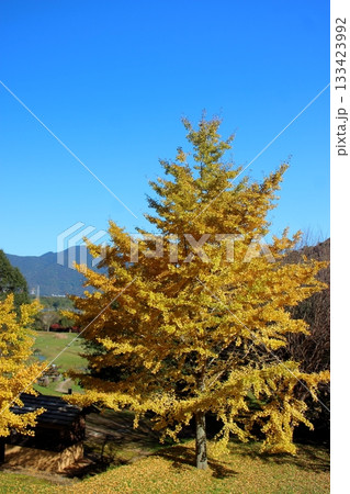 北九州の長野緑地 もりのいえから見た風景 (第2緑地保育センター) 北九州の長野緑地 もりのいえから見た風景 (第2緑地保育センター) 133423992