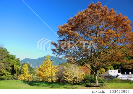北九州の長野緑地 もりのいえから見た風景 (第2緑地保育センター) 北九州の長野緑地 もりのいえから見た風景 (第2緑地保育センター) 133423993