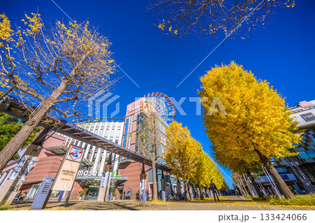 日本の横浜都市景観11月22日。センター北駅前、都築阪急の観覧車などを望む 133424066