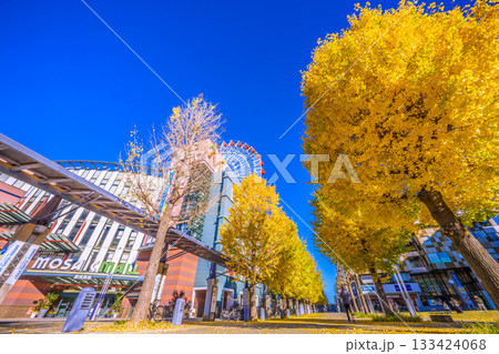 日本の横浜都市景観11月22日。センター北駅前、都築阪急の観覧車などを望む 133424068