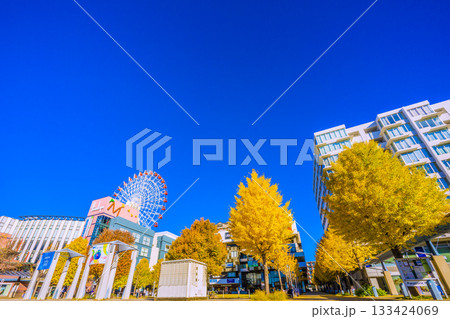 日本の横浜都市景観11月22日。センター北駅前、都築阪急の観覧車などを望む 133424069