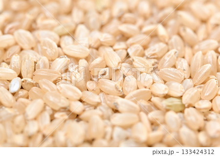 玄米 玄米 133424312