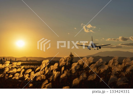 夕暮れの仙台空港　着陸中の飛行機　宮城県名取市 133424331